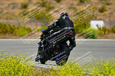 media/May-10-2024-2WTD (Fri) [[c88d7990af]]/Group C/Session 2-The Bowl/